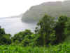 Taken on the road to Hana (Maui)